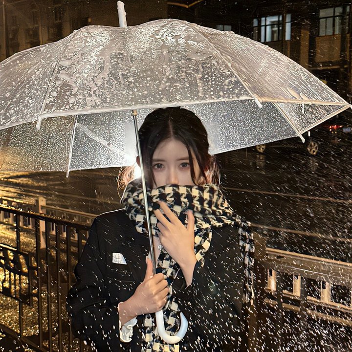 坚忍号：沙克尔顿的传奇南极远征